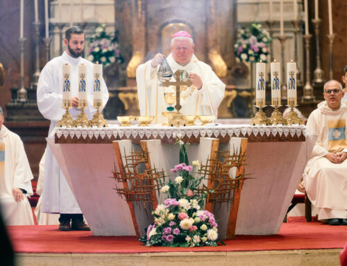 18. púť ružencových bratstiev v Šaštíne (doprevádzané fotografiami)